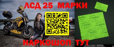стафф Гусев